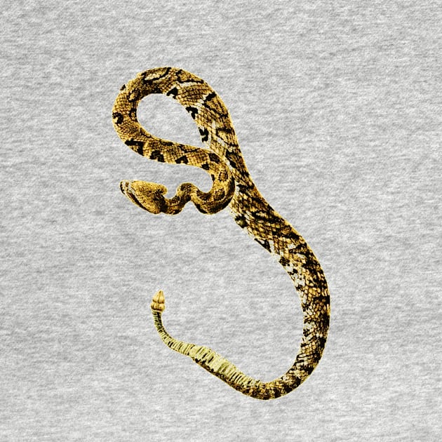 serpent,cobra,reptile,viper,venom,lizard,rattlesnake,king cobra,dragon,hydra,poison,venomous,plumber's snake,pythonidae,pythons,auger,python,squamata,serpentine,worm,big,ophidian,rattlesnakes,medusa,snakebite by vabontchi